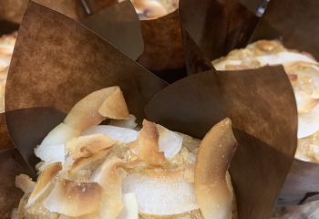 Chocolete Chip and Toasted Coconut Protein Muffins